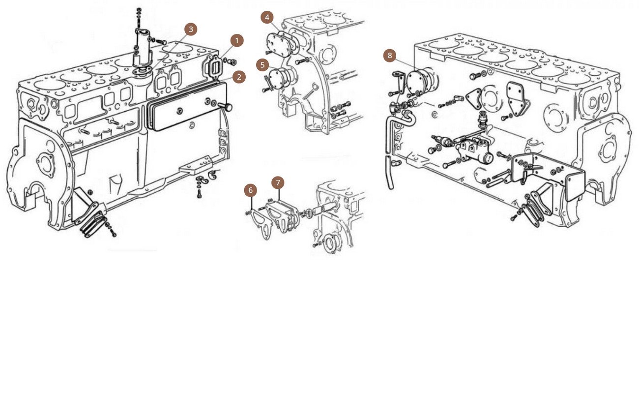 Gaskets & Seals