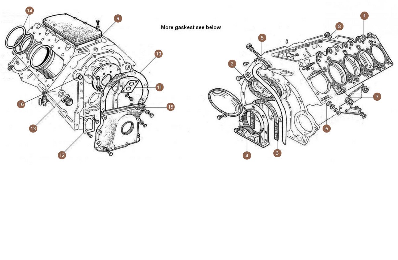 Engine Gaskets Middle