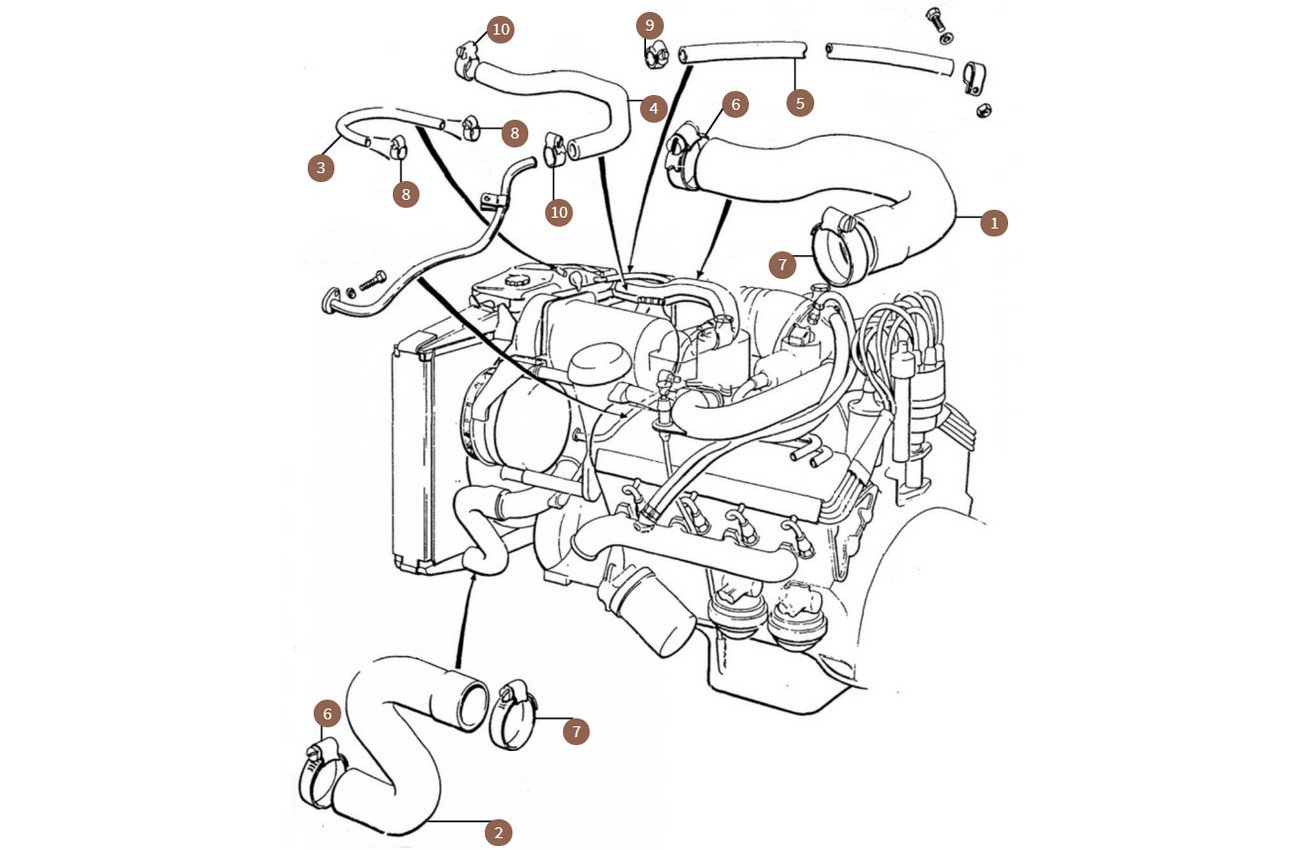 Coolant Hoses