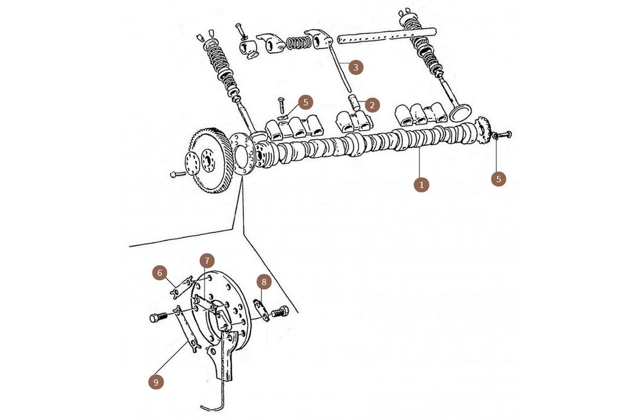 Camshaft & Hydraulic Tappets