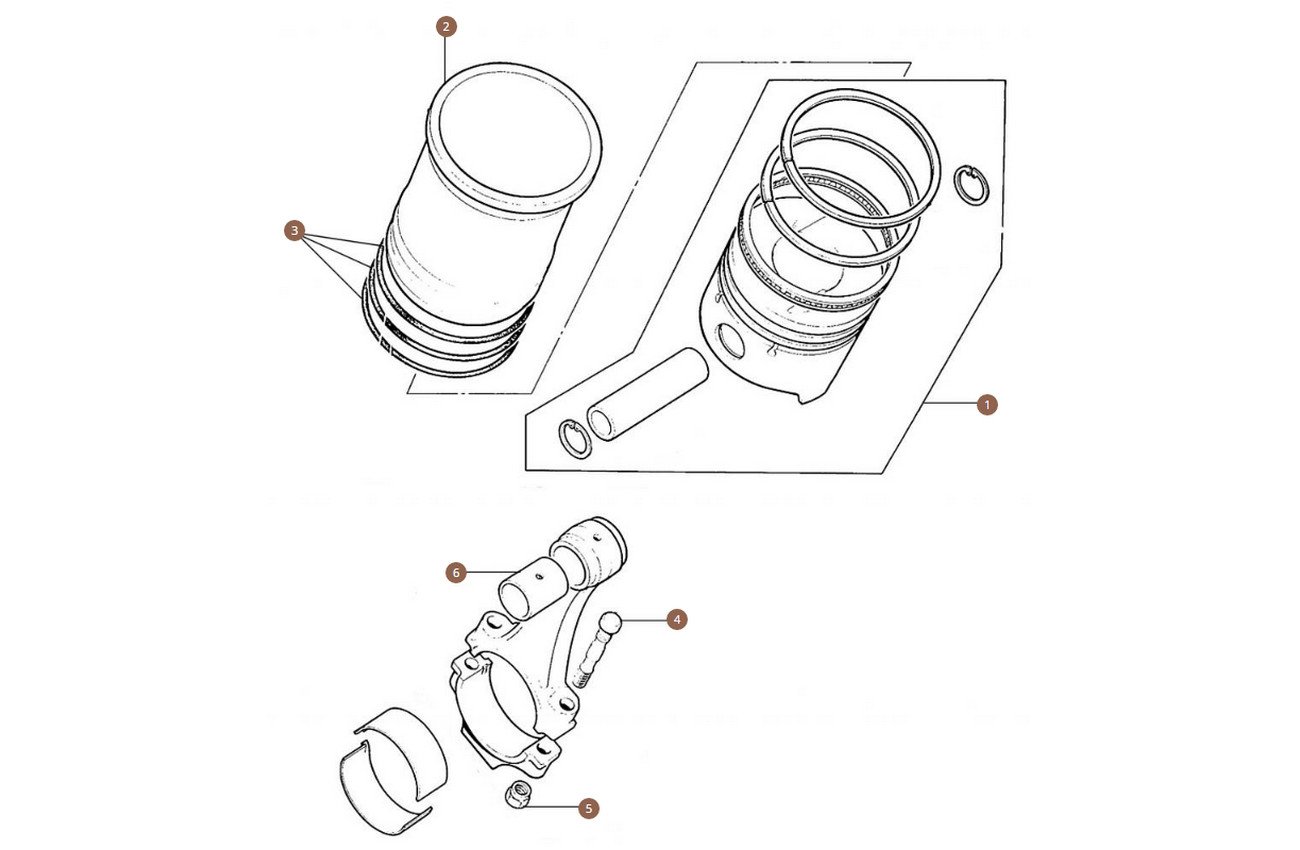 Piston & Liners