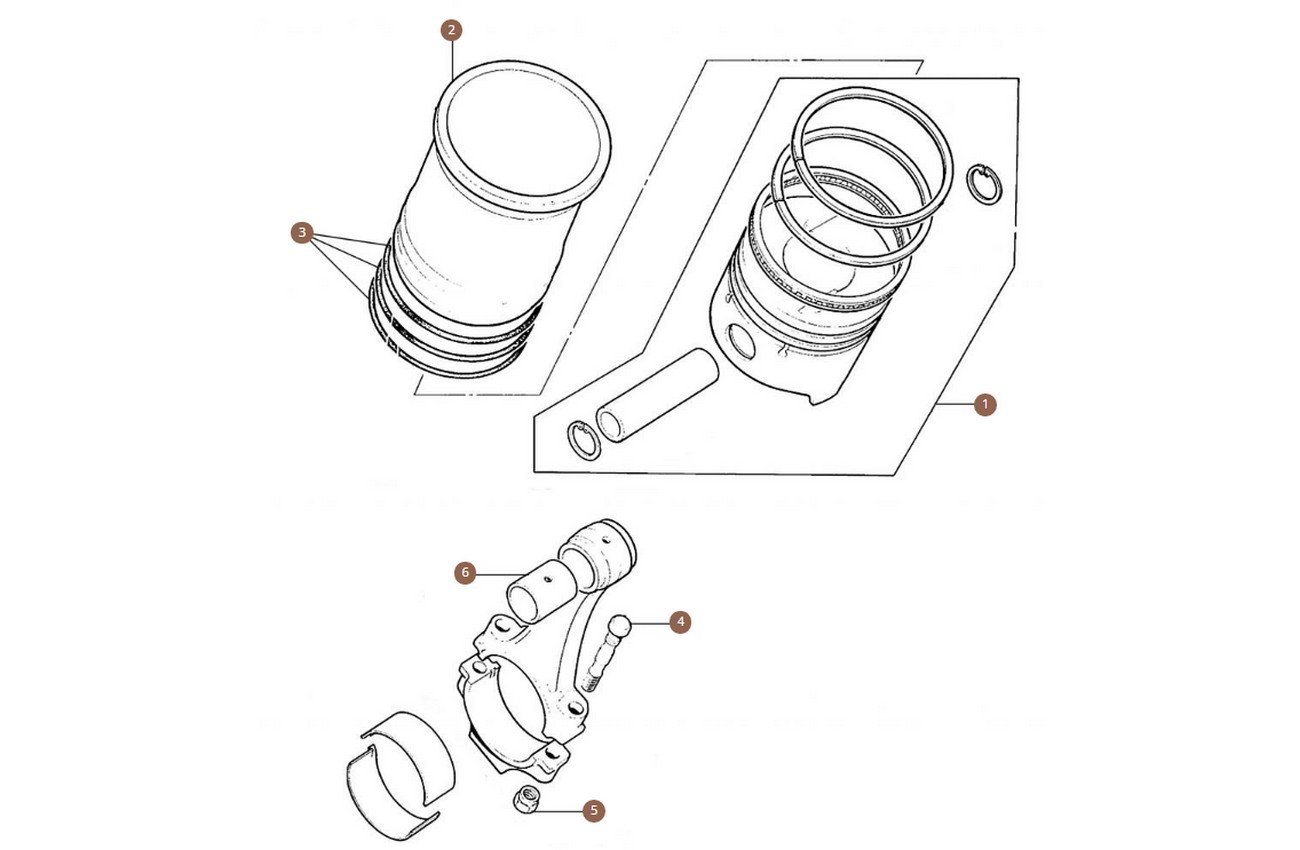 Piston & Liners