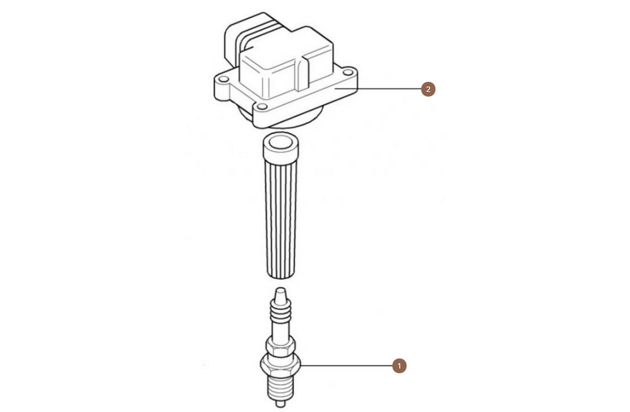 Spark Plugs & Coils