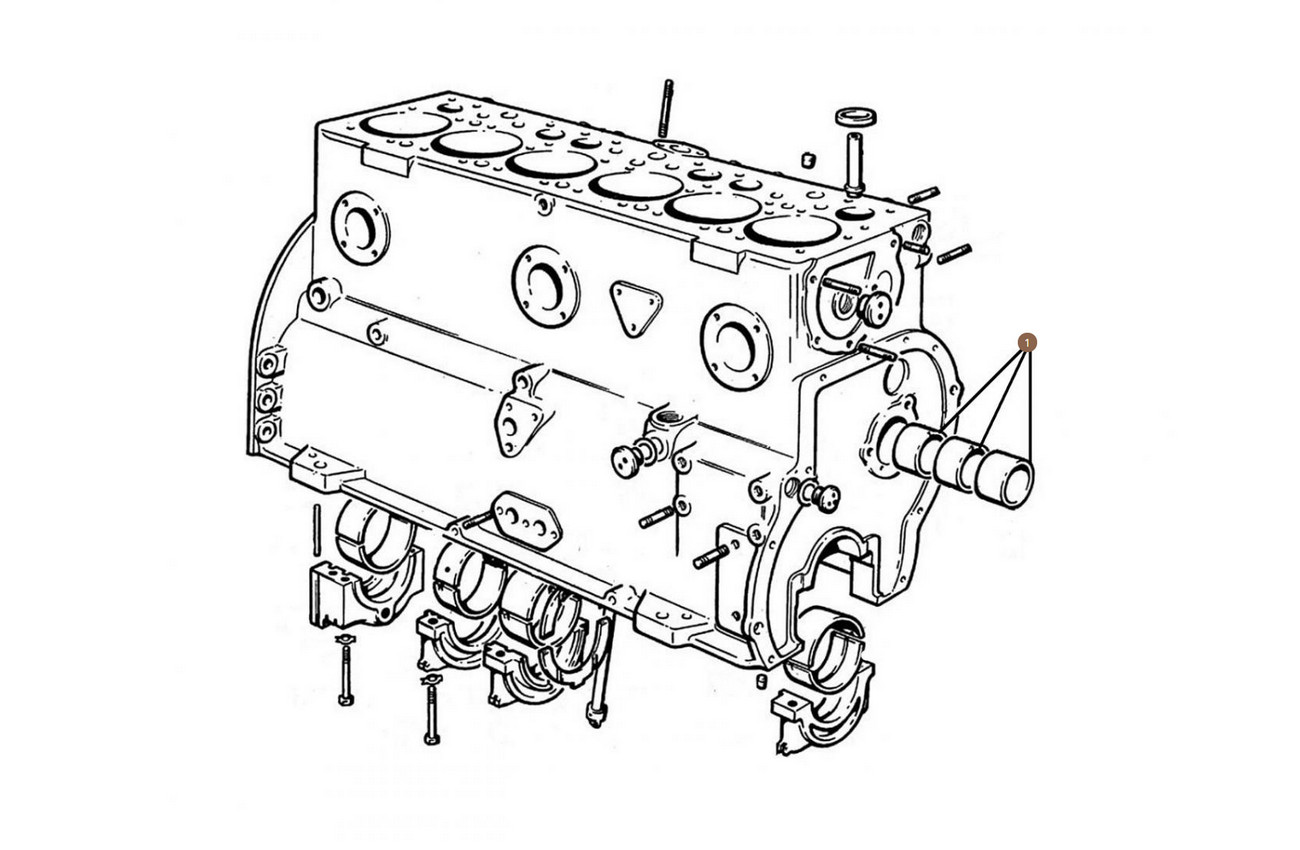 Camshaft Bearings