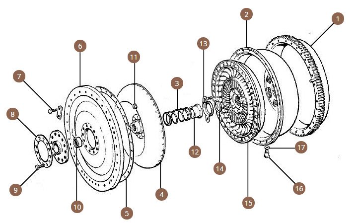 Torus & Ring Gear