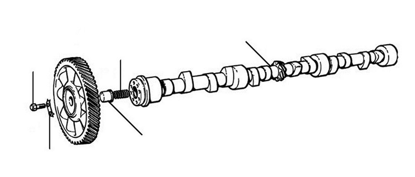 camshaft - Camshaft